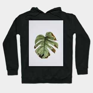 Monstera, Leaf, Green, Plant, Tropical, Nature print Hoodie